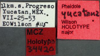 Media type: image;   Entomology 34420 Aspect: labels